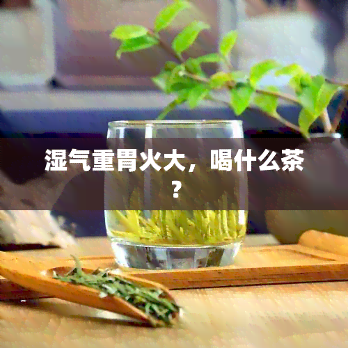 湿气重胃火大，喝什么茶？