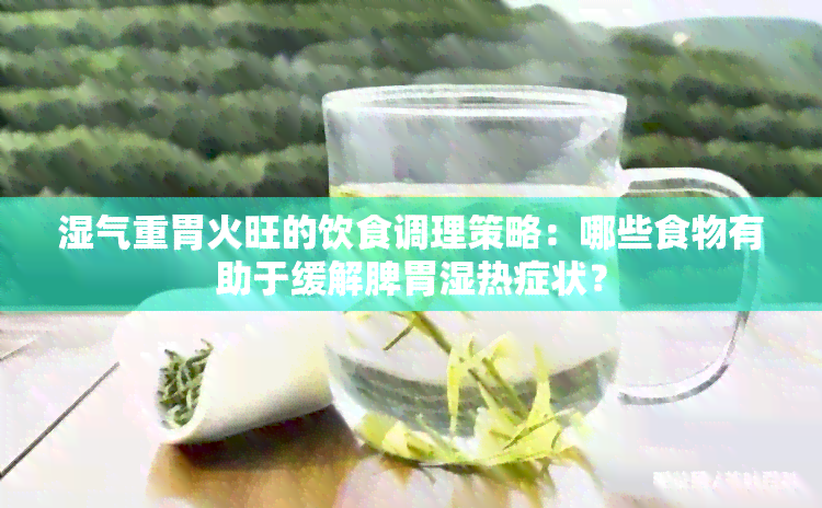 湿气重胃火旺的饮食调理策略：哪些食物有助于缓解脾胃湿热症状？