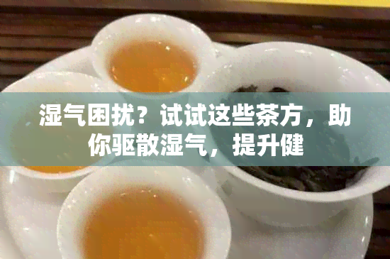 湿气困扰？试试这些茶方，助你驱散湿气，提升健