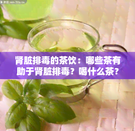 肾脏排的茶饮：哪些茶有助于肾脏排？喝什么茶？