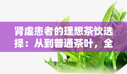 肾虚患者的理想茶饮选择：从到普通茶叶，全面指南助你恢复健