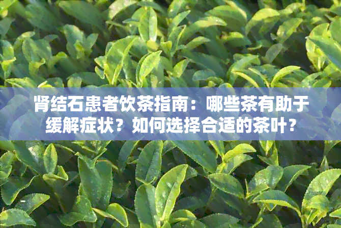 肾结石患者饮茶指南：哪些茶有助于缓解症状？如何选择合适的茶叶？