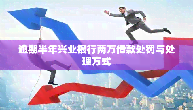 逾期半年兴业银行两万借款处罚与处理方式