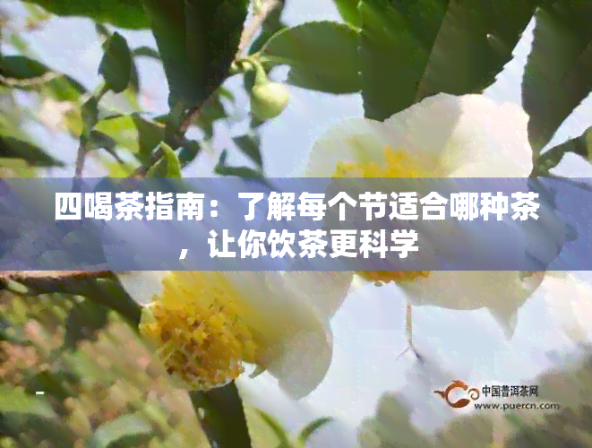 四喝茶指南：了解每个节适合哪种茶，让你饮茶更科学