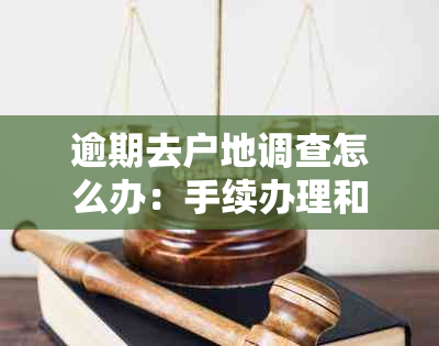 逾期去户地调查怎么办：手续办理和后续流程详解