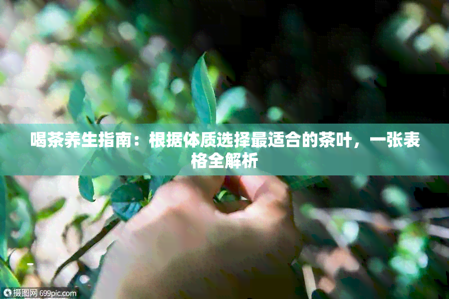 喝茶养生指南：根据体质选择最适合的茶叶，一张表格全解析