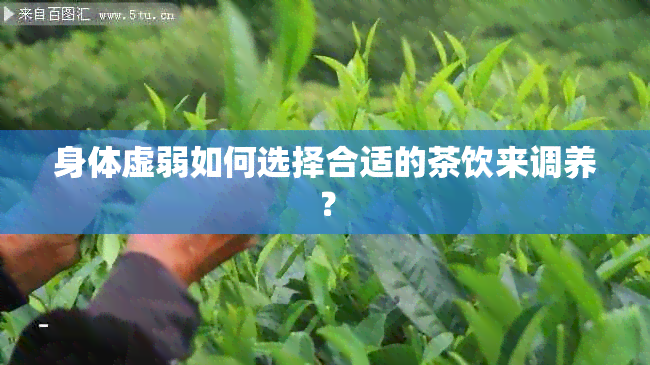 身体虚弱如何选择合适的茶饮来调养？