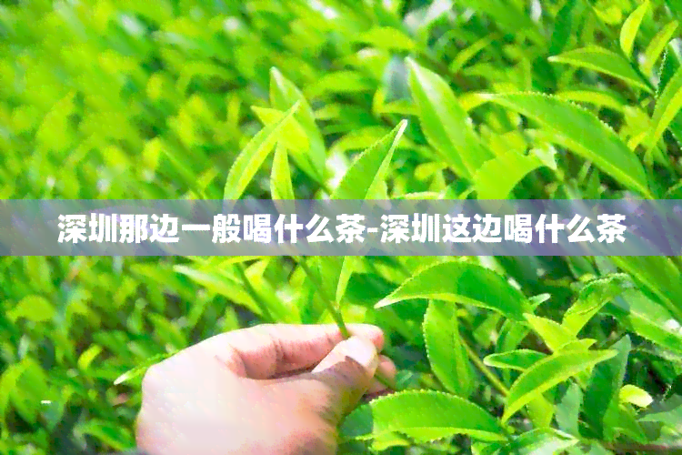 深圳那边一般喝什么茶-深圳这边喝什么茶