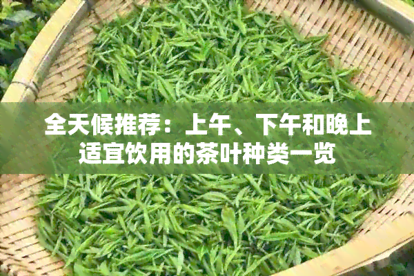 全天候推荐：上午、下午和晚上适宜饮用的茶叶种类一览