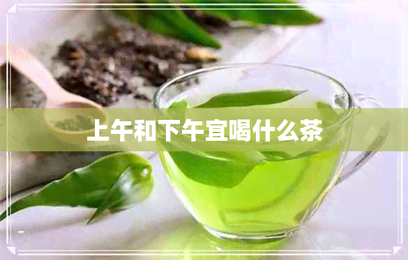 上午和下午宜喝什么茶