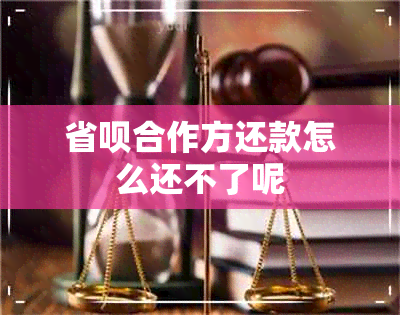 省呗合作方还款怎么还不了呢