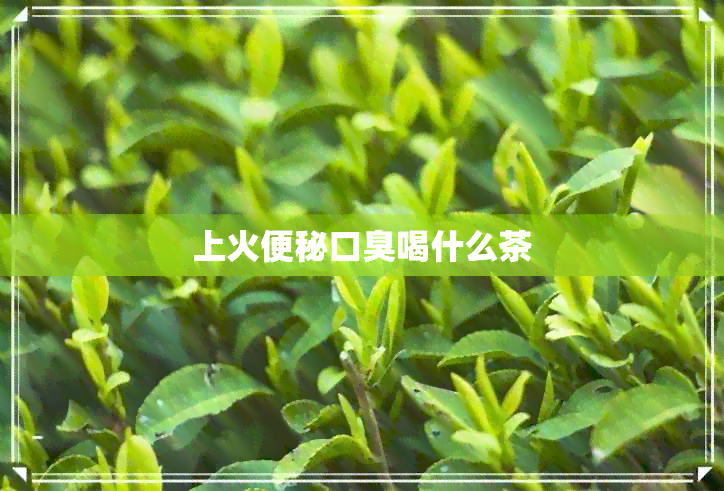 上火便秘口臭喝什么茶