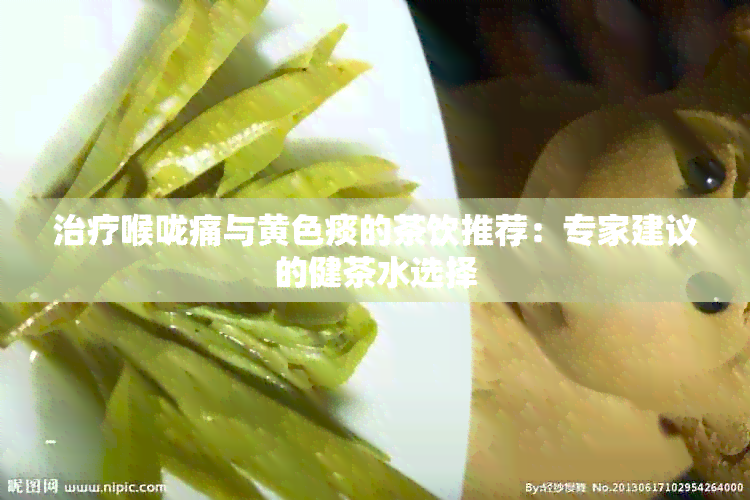 治疗喉咙痛与黄色痰的茶饮推荐：专家建议的健茶水选择