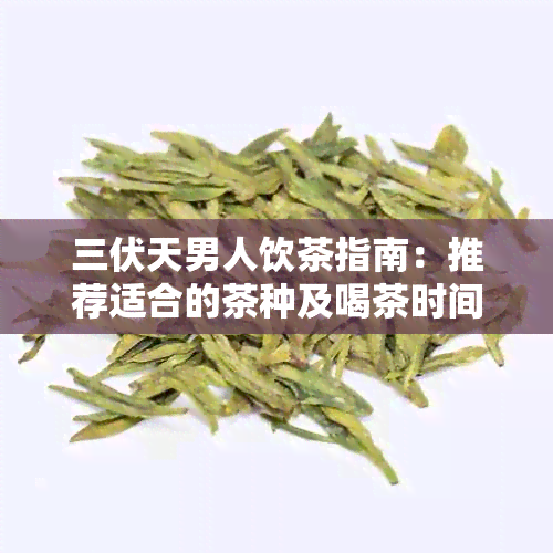 三伏天男人饮茶指南：推荐适合的茶种及喝茶时间，改善健和消暑效果