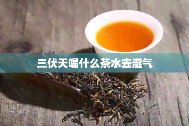 三伏天喝什么茶水去湿气