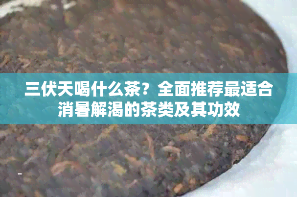 三伏天喝什么茶？全面推荐最适合消暑解渴的茶类及其功效