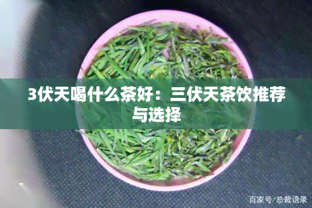 3伏天喝什么茶好：三伏天茶饮推荐与选择