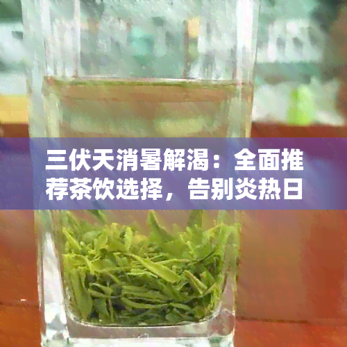 三伏天消暑解渴：全面推荐茶饮选择，告别炎热日