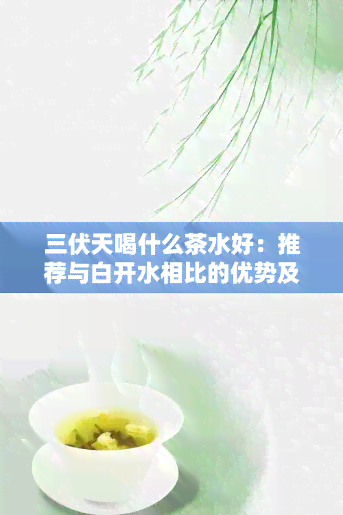 三伏天喝什么茶水好：推荐与白开水相比的优势及适合的茶品