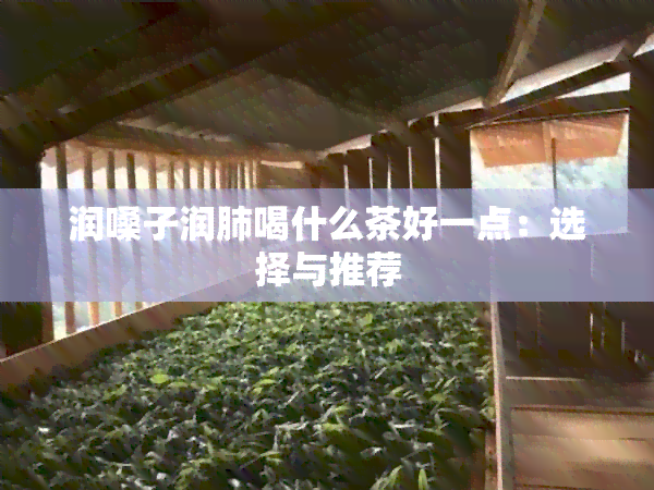 润嗓子润肺喝什么茶好一点：选择与推荐