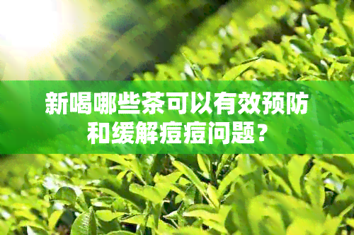 新喝哪些茶可以有效预防和缓解痘痘问题？