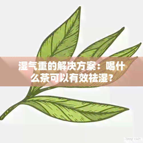 湿气重的解决方案：喝什么茶可以有效祛湿？