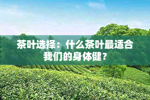 茶叶选择：什么茶叶最适合我们的身体健？