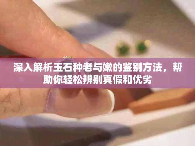 深入解析玉石种老与嫩的鉴别方法，帮助你轻松辨别真假和优劣