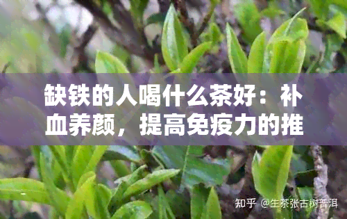 缺铁的人喝什么茶好：补血养颜，提高免疫力的推荐茶饮