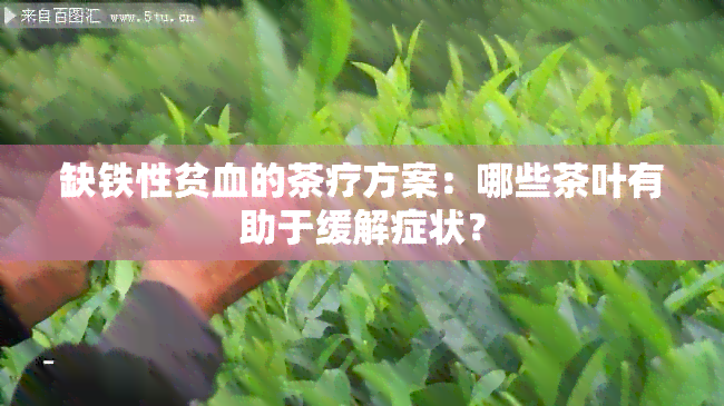 缺铁性贫血的茶疗方案：哪些茶叶有助于缓解症状？