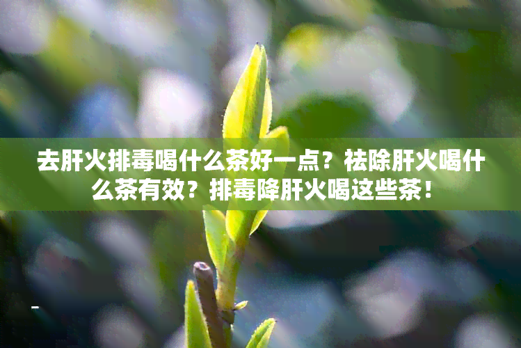 去肝火排喝什么茶好一点？祛除肝火喝什么茶有效？排降肝火喝这些茶！