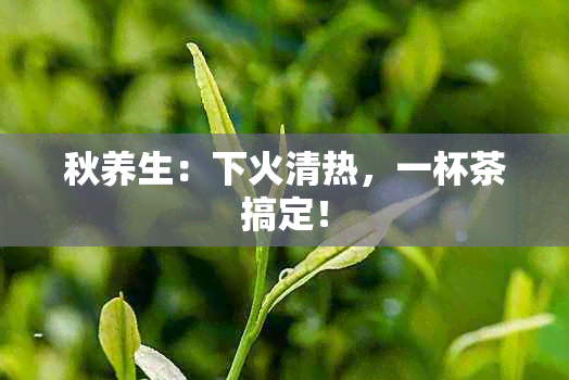 秋养生：下火清热，一杯茶搞定！