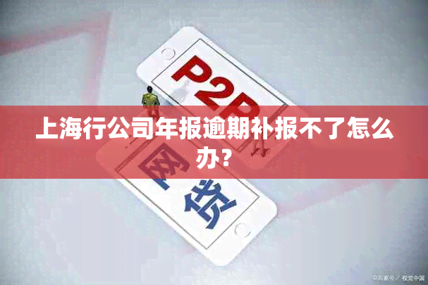 上海行公司年报逾期补报不了怎么办？