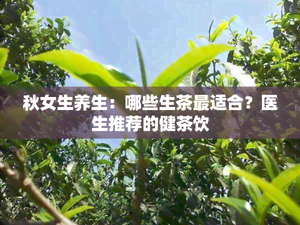 秋女生养生：哪些生茶最适合？医生推荐的健茶饮