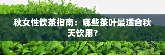 秋女性饮茶指南：哪些茶叶最适合秋天饮用？