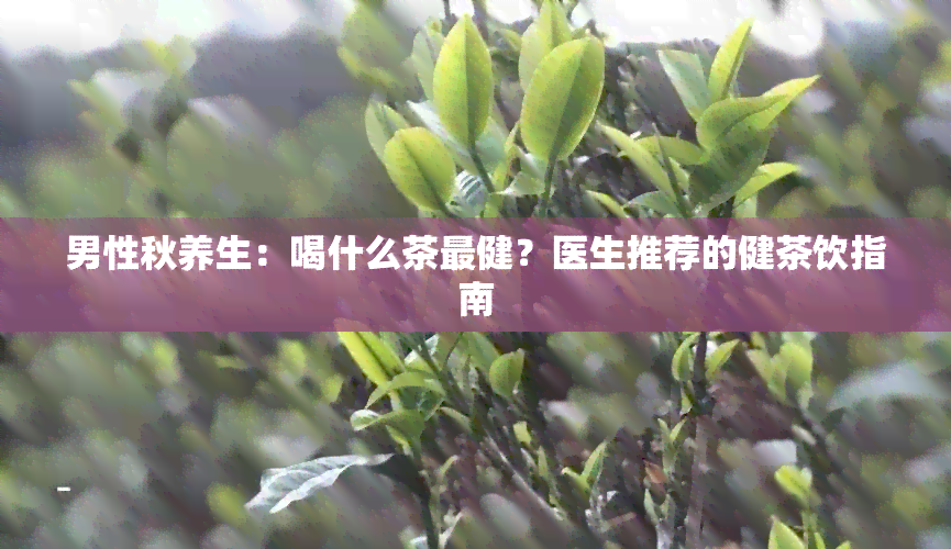 男性秋养生：喝什么茶最健？医生推荐的健茶饮指南