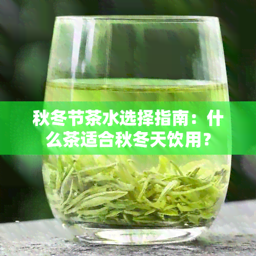 秋冬节茶水选择指南：什么茶适合秋冬天饮用？