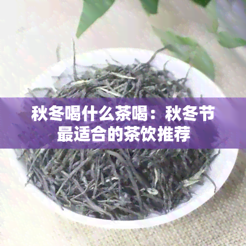 秋冬喝什么茶喝：秋冬节最适合的茶饮推荐