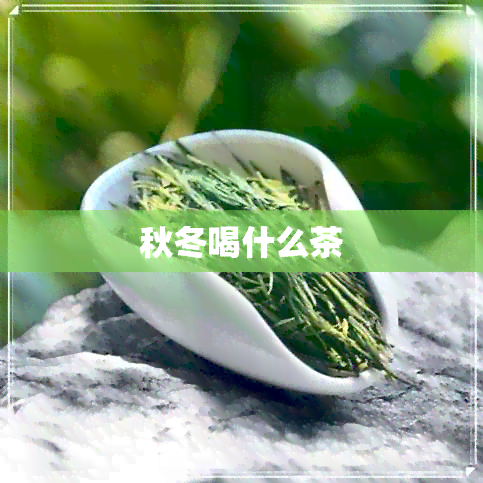 秋冬喝什么茶