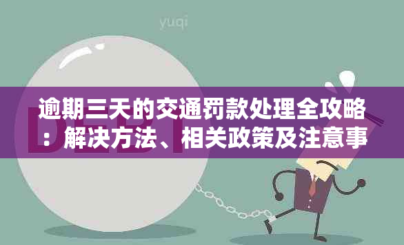 逾期三天的交通罚款处理全攻略：解决方法、相关政策及注意事项一文解析