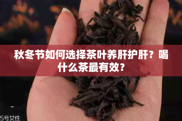 秋冬节如何选择茶叶养肝护肝？喝什么茶最有效？