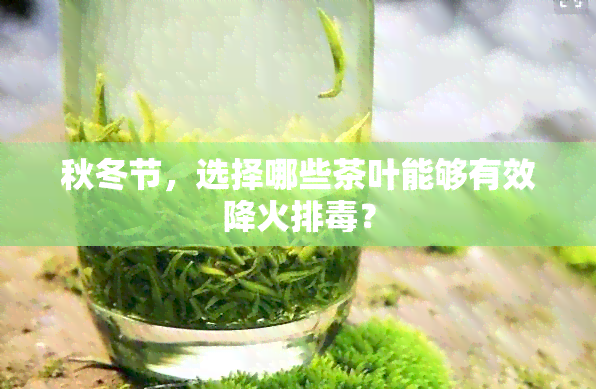 秋冬节，选择哪些茶叶能够有效降火排？