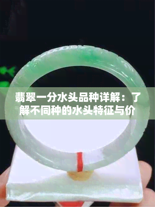 翡翠一分水头品种详解：了解不同种的水头特征与价值