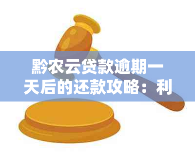 黔农云贷款逾期一天后的还款攻略：利息、影响与解决办法