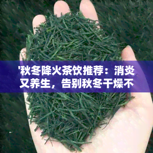 '秋冬降火茶饮推荐：消炎又养生，告别秋冬干燥不适'