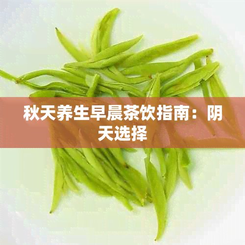 秋天养生早晨茶饮指南：阴天选择