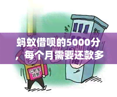 蚂蚁借呗的5000分，每个月需要还款多少？(不包含利息)