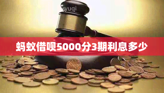 蚂蚁借呗5000分3期利息多少