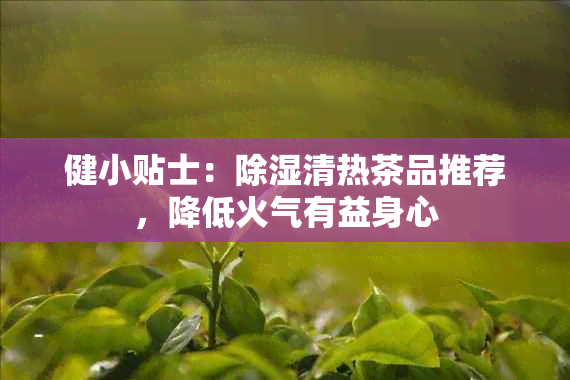 健小贴士：除湿清热茶品推荐，降低火气有益身心