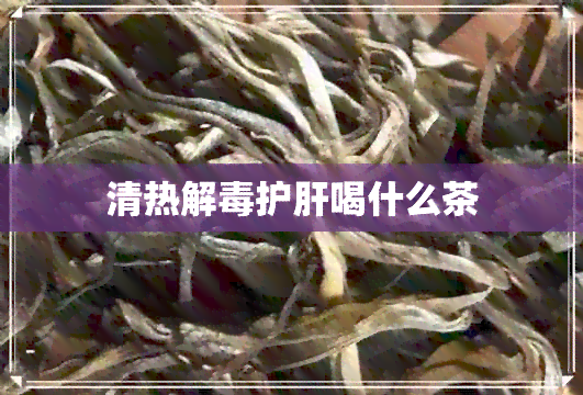 清热解护肝喝什么茶